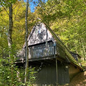 Boszicht Durbuy